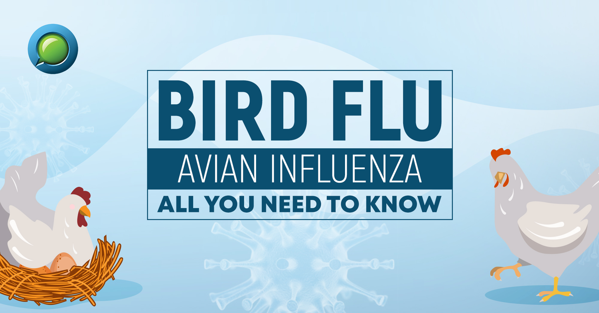 Bird Flu [Avian Influenza] – All you need to know